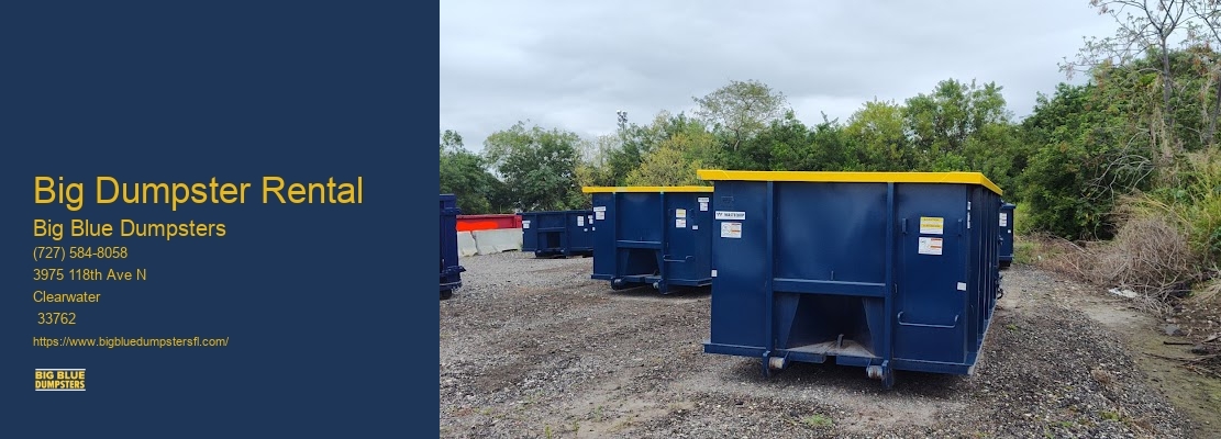 Large Dumpster Rental Sizes